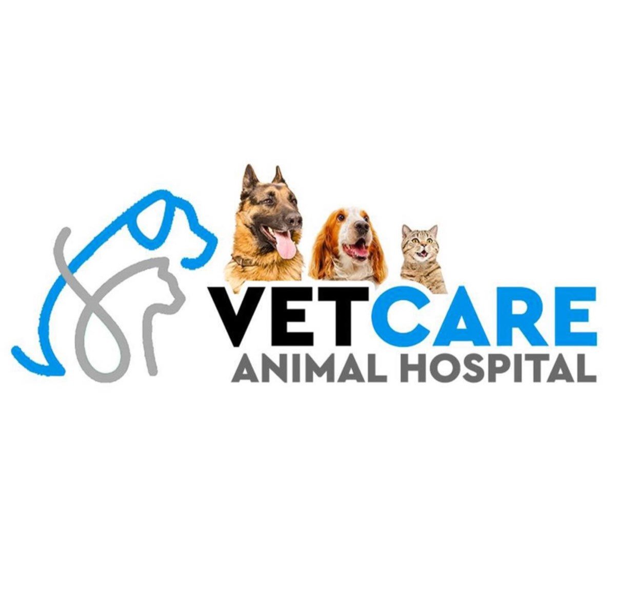 VetCare Logo